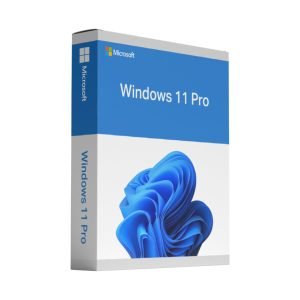 Microsoft Windows 11 Professional